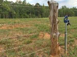 Pasture Water Faucet